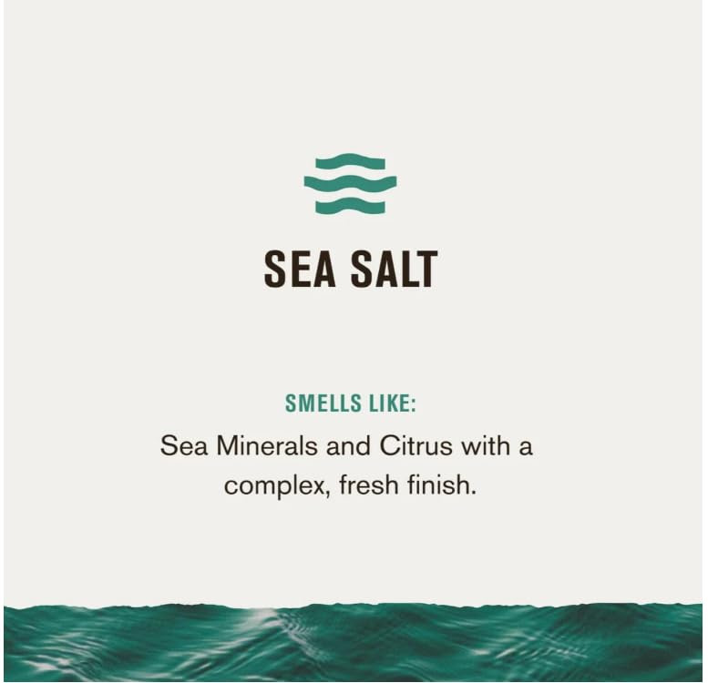 Every Man 3-in-1 Jack/Shampoo + Conditioner + Body Wash, Scent: SEA SALT (Sea Minerals and Citrus with a complex, fresh finish) - 28oz PUMP thumbnail 2