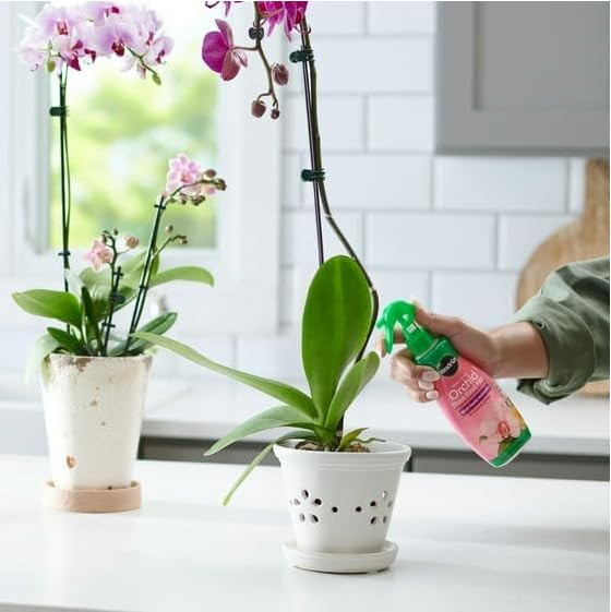 Miracles-Grows Ready to Use Orchid Plant Food Mist, for Indoor Orchid Plants, 8 oz, (1 Pack) thumbnail 4