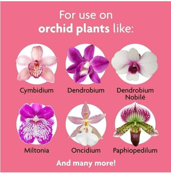 Miracles-Grows Ready to Use Orchid Plant Food Mist, for Indoor Orchid Plants, 8 oz, (1 Pack) thumbnail 3