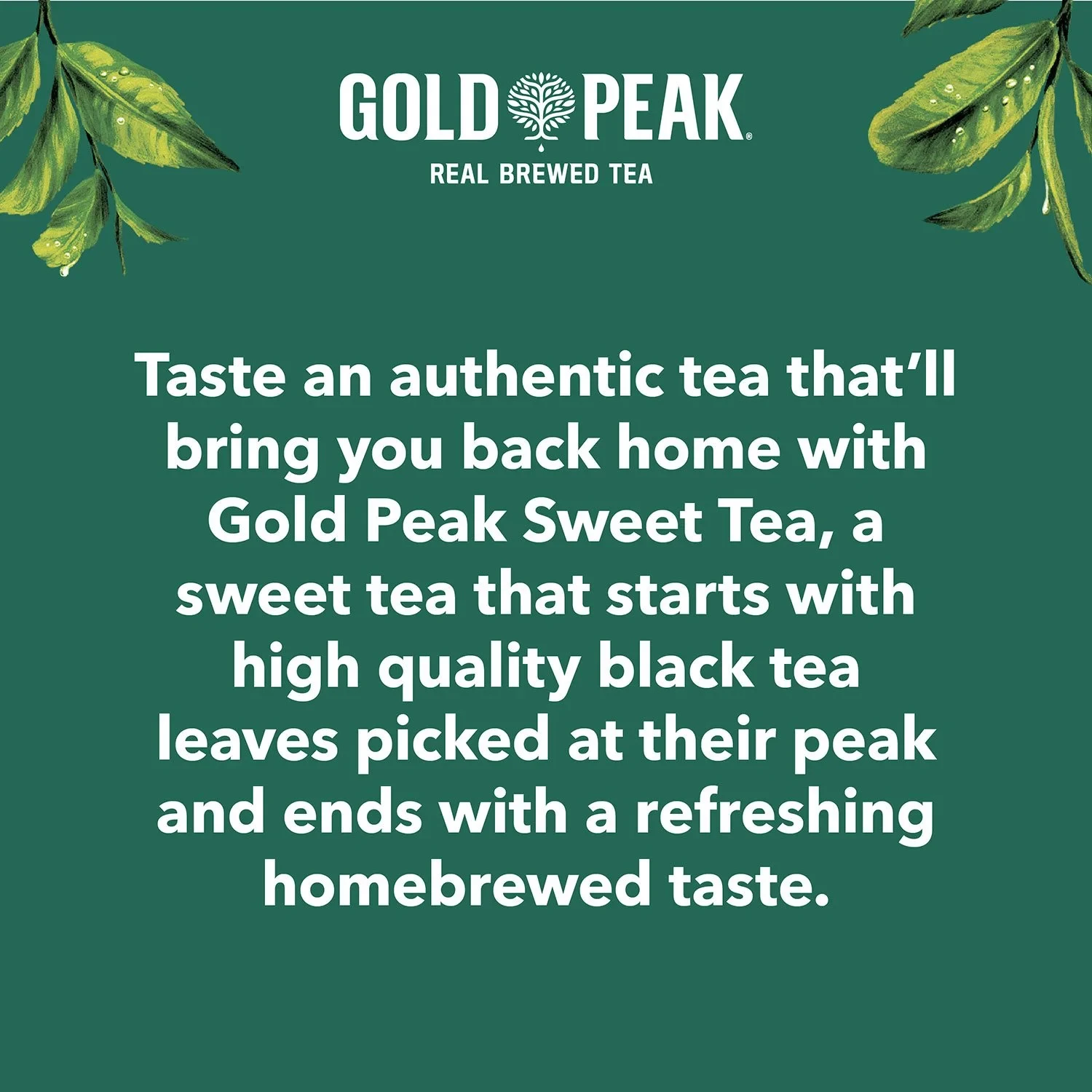 Gold Peak Sweet Tea 16.9 fl oz., 18 pk. thumbnail 3