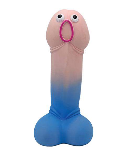 Rainbow Willy Warmer