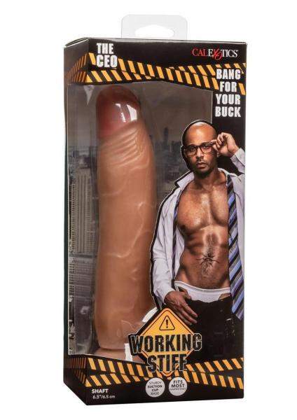 Working Stiff The Fireman