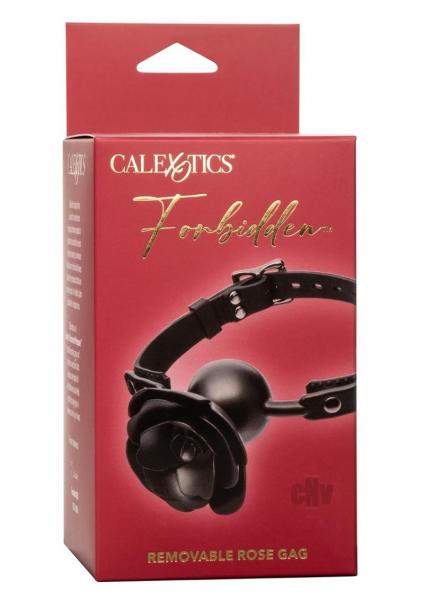 Euphoria Coll Collar W/chain Leash