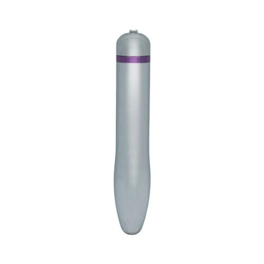 Natalie's Toy Box Hidden Treasure Metal Vibrator