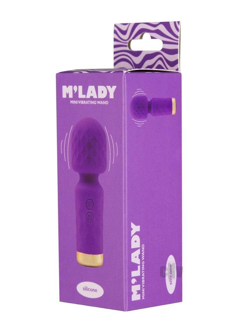 Large Lockable Vibrator Case - Black