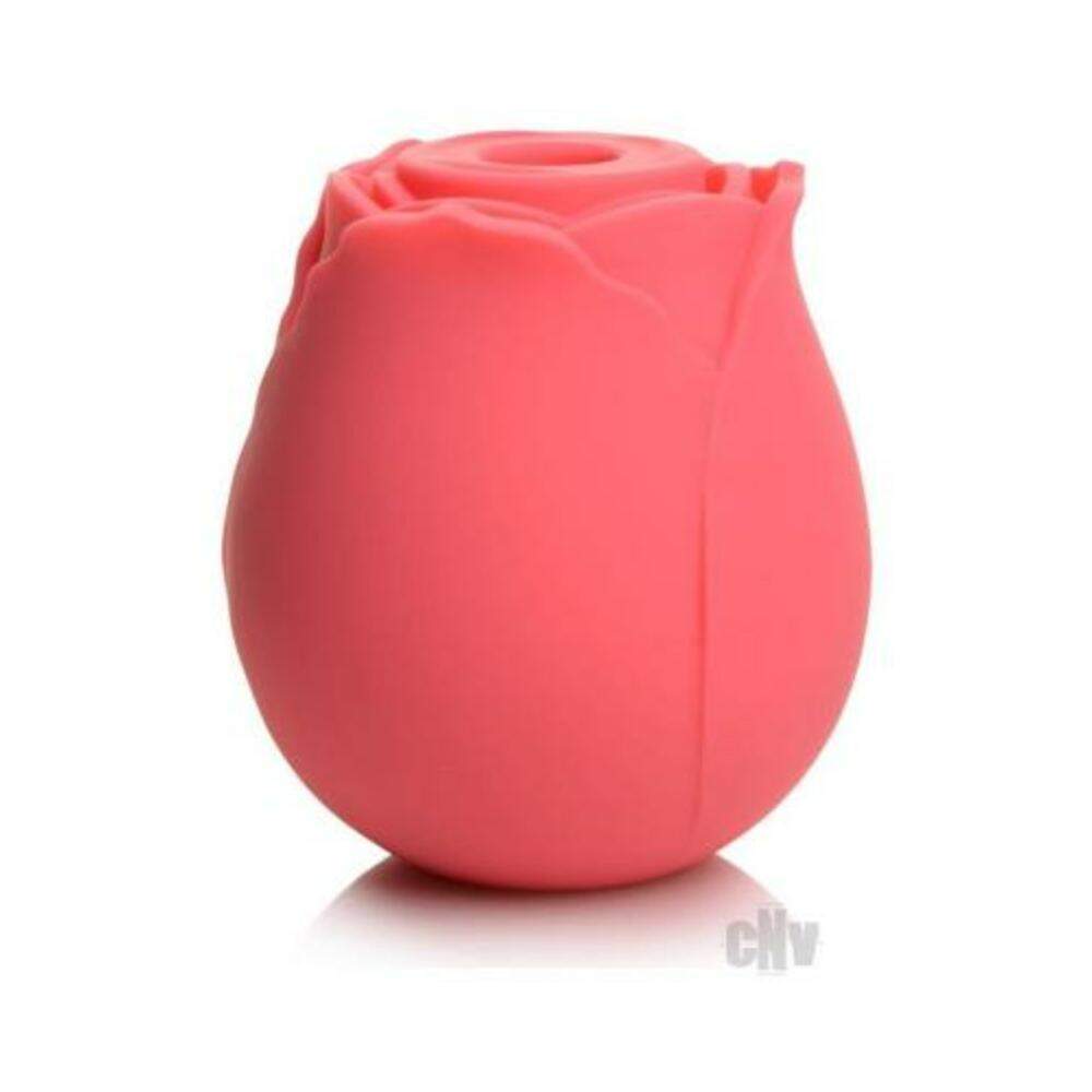 Gossip Rose Crave Pink
