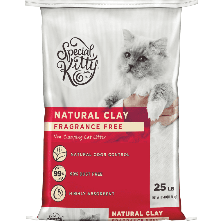Special Kitty Non-Clumping Clay Cat Litter, Unscented, 25 lb Bag, 1 Count