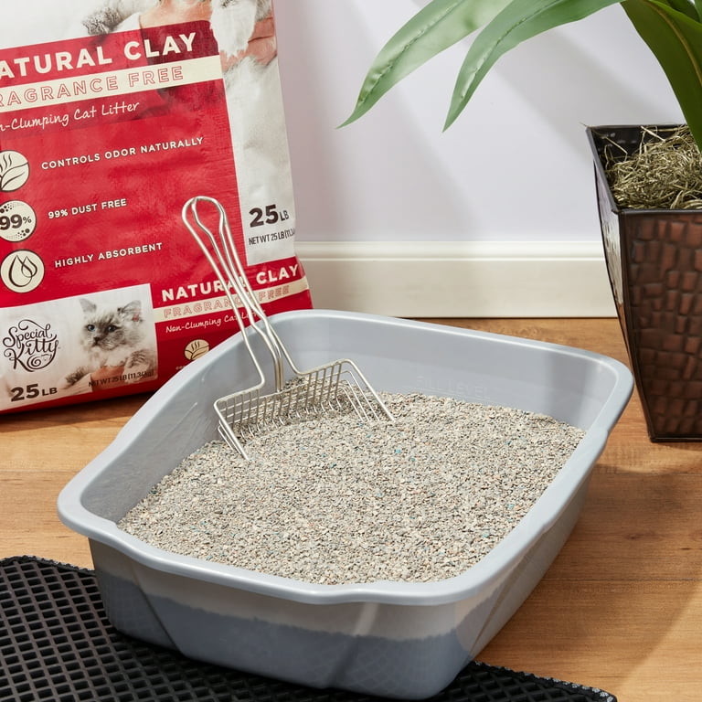 Special Kitty Non-Clumping Clay Cat Litter, Unscented, 25 lb Bag, 1 Count thumbnail 2