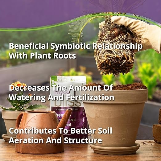 Myco Bliss Powder (1lb) - Mycorrhizal Fungi for Soil - 5 Strain Mycorrhizal Inoculant with 1000 Propagules Per Gram - Highly Concentrated Mycorrhizae for Plants, Potting Soil, & Garden Soil thumbnail 2