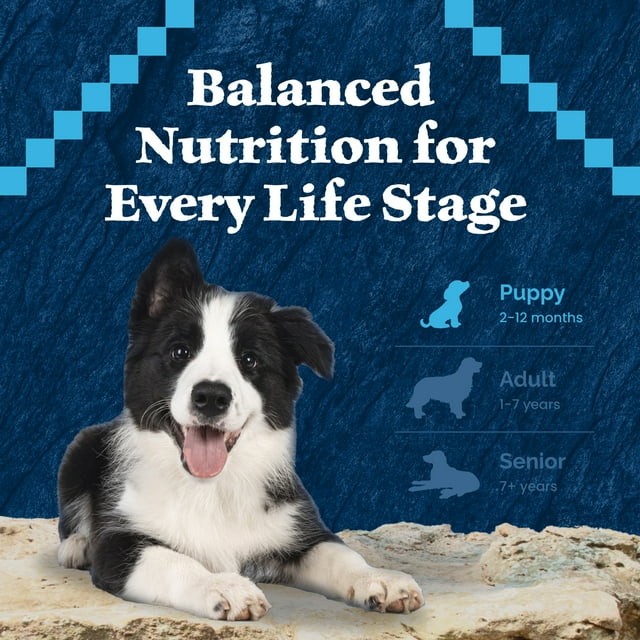 Blue Buffalo Wilderness Wet Food for Puppies, Turkey & Chicken, 12.5-oz. Can thumbnail 2