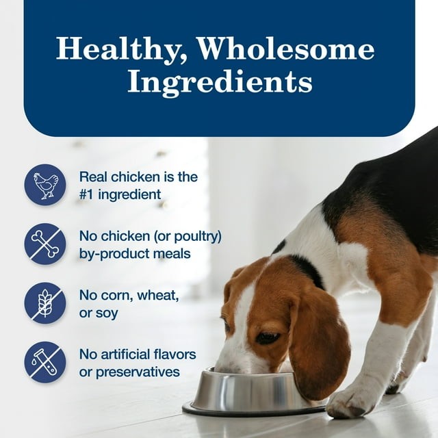 Blue Buffalo Homestyle Recipe Adult Wet Dog Food, Chicken Dinner, 12.5-oz. Can thumbnail 5