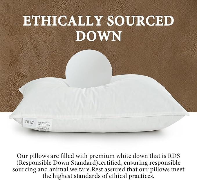 BHZ Goose Down Feather Pillows, Pillows Queen Size - Hotel Bed Pillows for Sleeping Soft and Supportive Pillows for Side and Back Sleepers - 1 Pack, Queen (20" x 28") thumbnail 2