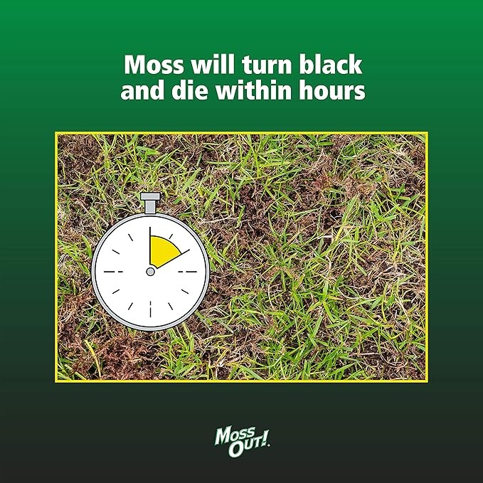 CENTRAL GARDEN BRANDS Lilly Miller Moss Out for Lawns Ready to Spray 32oz, 1-(Pack) thumbnail 4