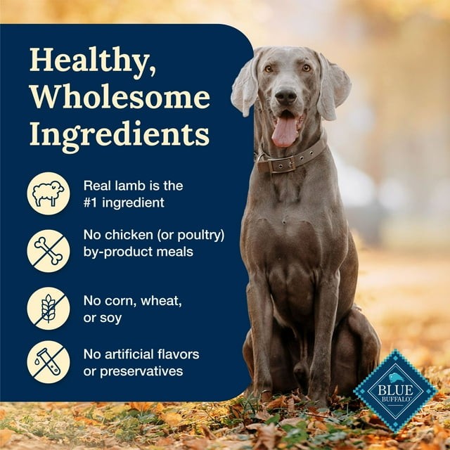Blue Buffalo Delectables Natural Wet Dog Food Topper, Lamb Dinner 3oz thumbnail 3