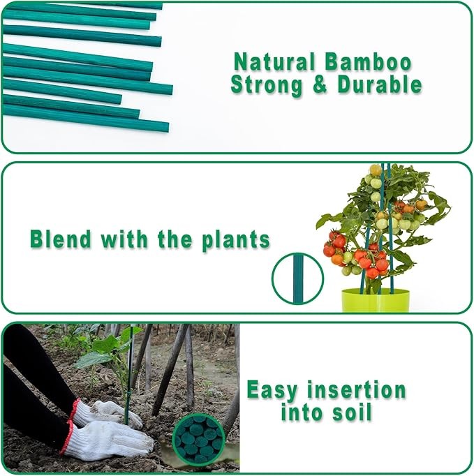 Plant Stakes 50 PCS Garden Green Bamboo Sticks Plant Support Stakes for Indoor and Outdoor Plants, Wooden Sign Posting Flower Pot Garden Stakes(15" 25pcs+17" 25pcs) thumbnail 4
