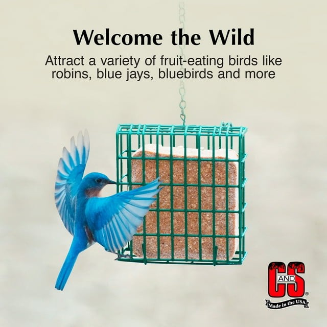 C&S Berry Suet Treat, for Wild Birds, 11.75 Ounces thumbnail 5