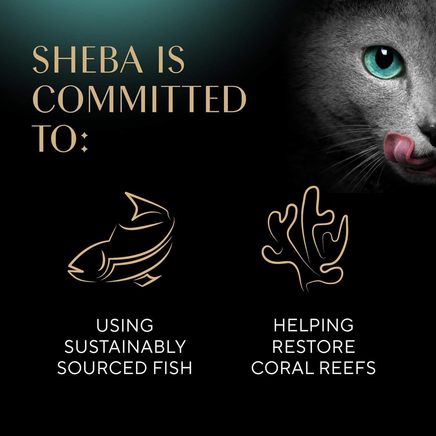 Sheba Perfect Portions Wet Cat Food Cuts in Gravy With Sustainable Salmon, 2.6 oz., Twin-Pack Trays (24 Count, 48 Servings) thumbnail 5