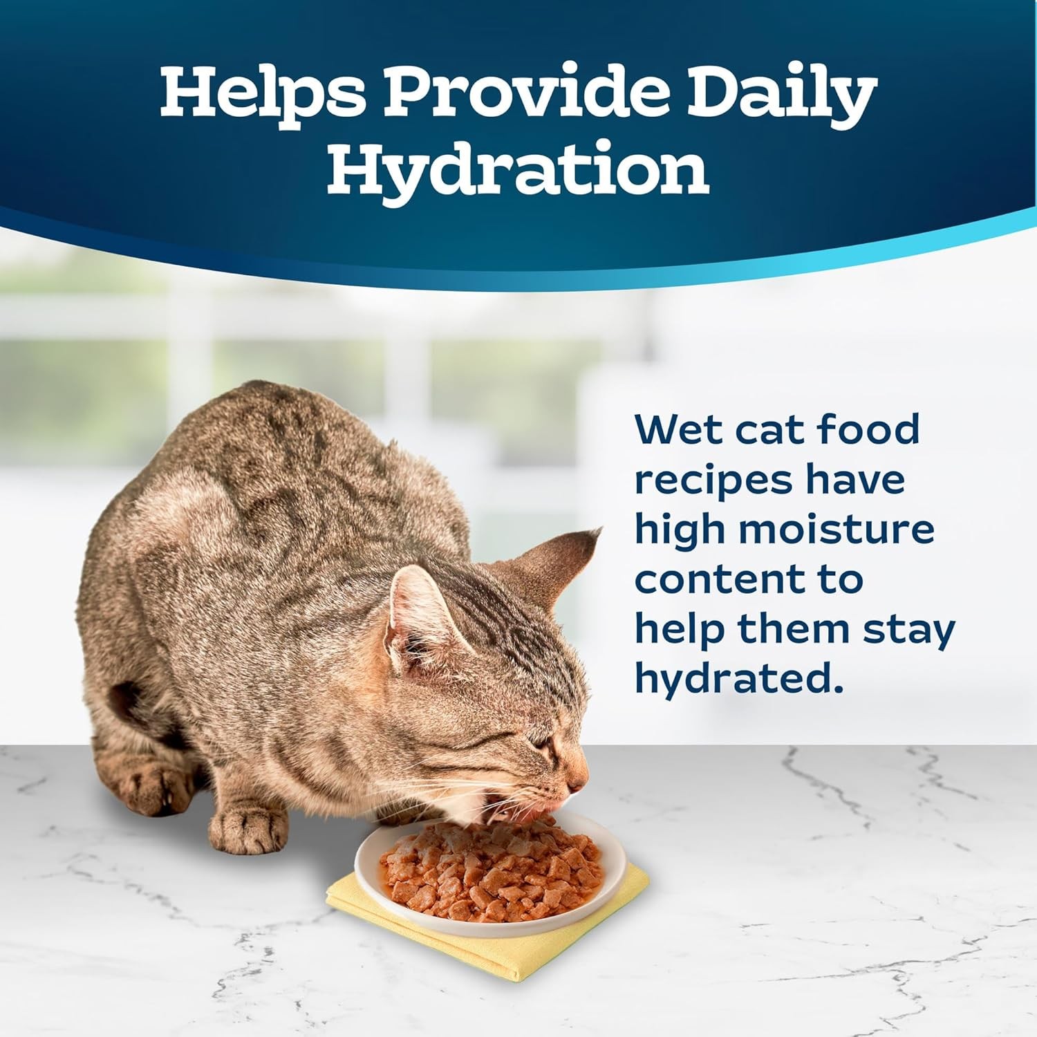 Blue Buffalo Tastefuls Flaked Wet Cat Food, Made with Natural Ingredients, Tuna, 3-oz Cans (24 Count) thumbnail 2