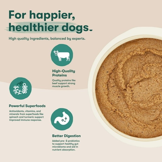 Jinx Pate with Salmon & Vegetables Natural Wet Dog Food, Grain Free, 13 0z. Can thumbnail 2