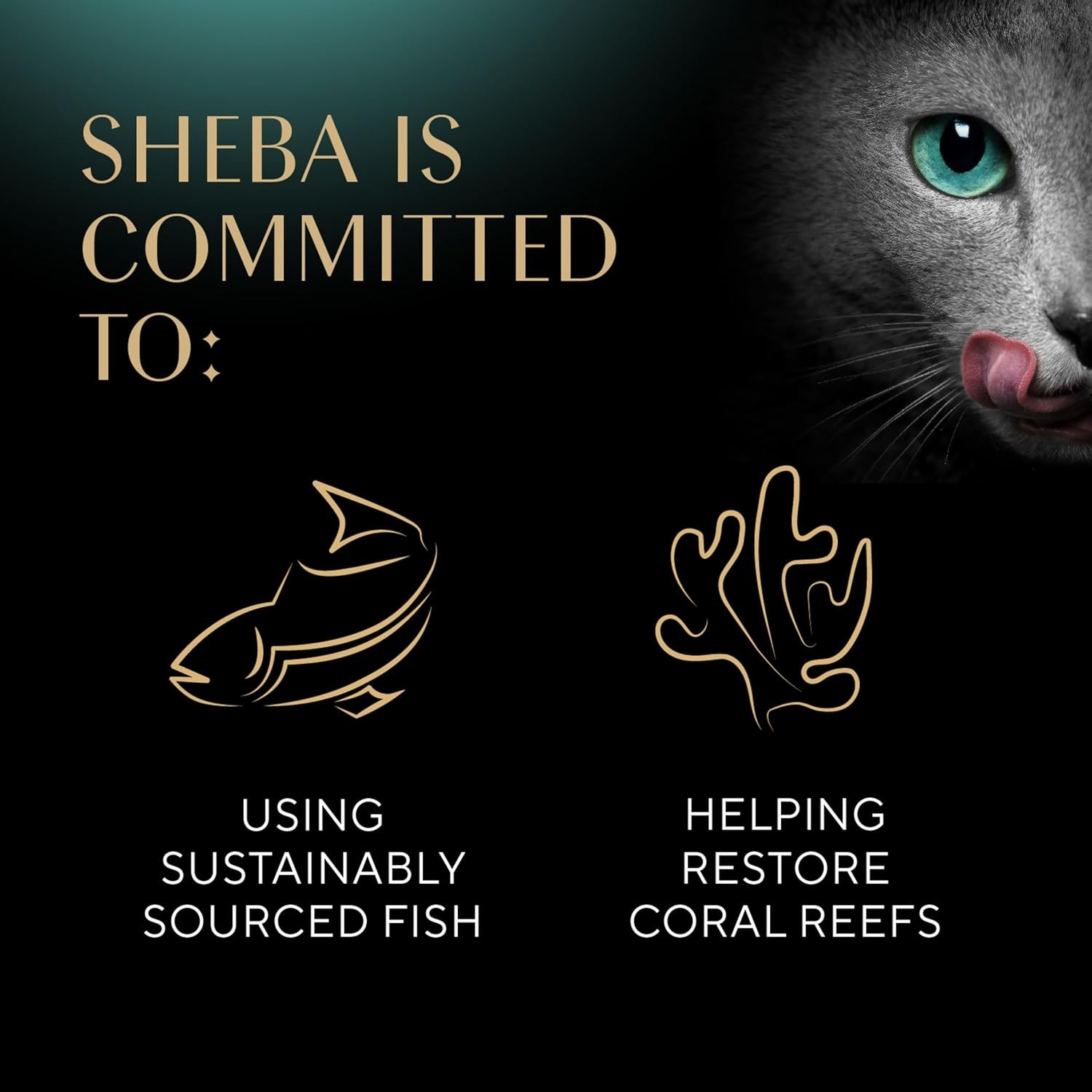 Sheba Perfect Portions Wet Cat Food Cuts in Gravy Delicate White Fish and Tuna Entree, 2.6 oz., Twin-Pack Trays (24 Count, 48 Servings) thumbnail 4