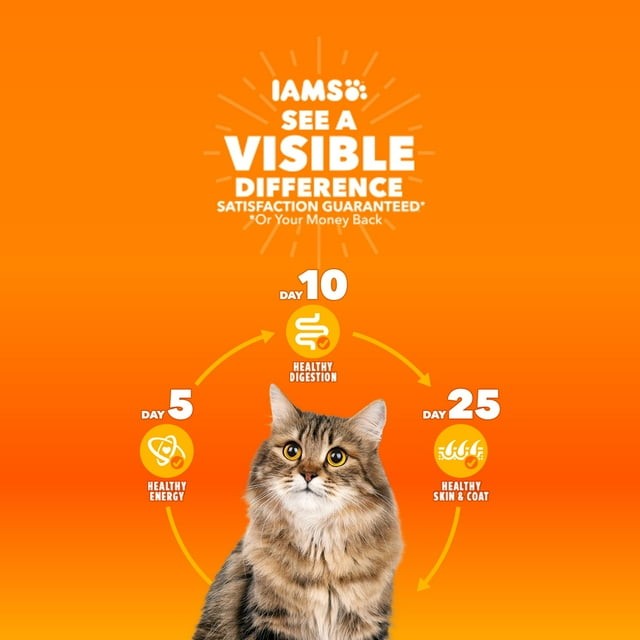 Iams Proactive Health Indoor Weight & Hairball Control Dry Cat Food For Adult Cats, 3.5 Lb. Bag thumbnail 4