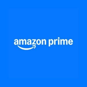 Amazon prime + Netflix + Zee5 - 1 year combo license thumbnail 3
